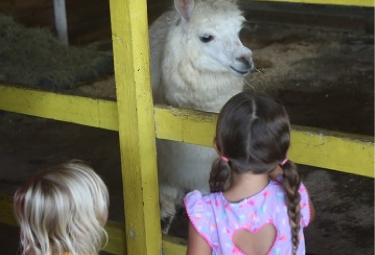 Animal Farm